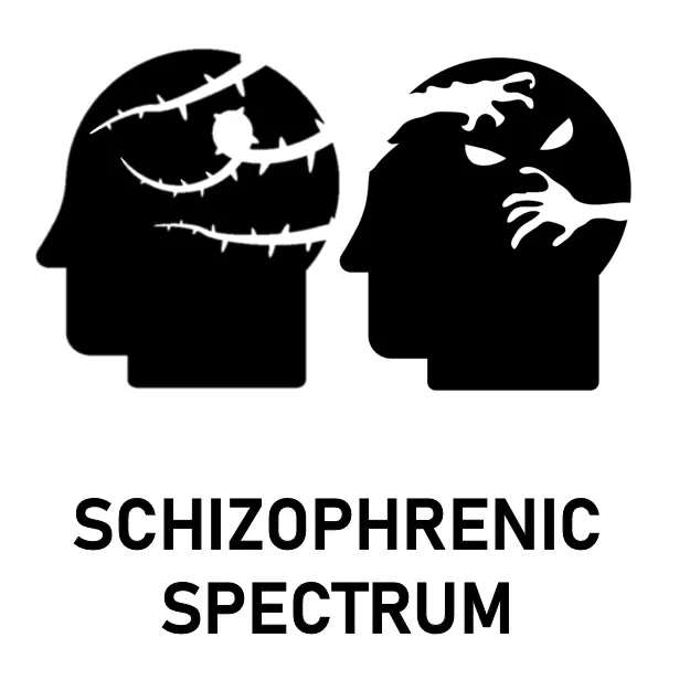 Schizophrenic Spectrum Everything You Need To Know Mental Health General