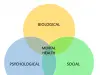 The Biopsychosocial Model in Mental Health